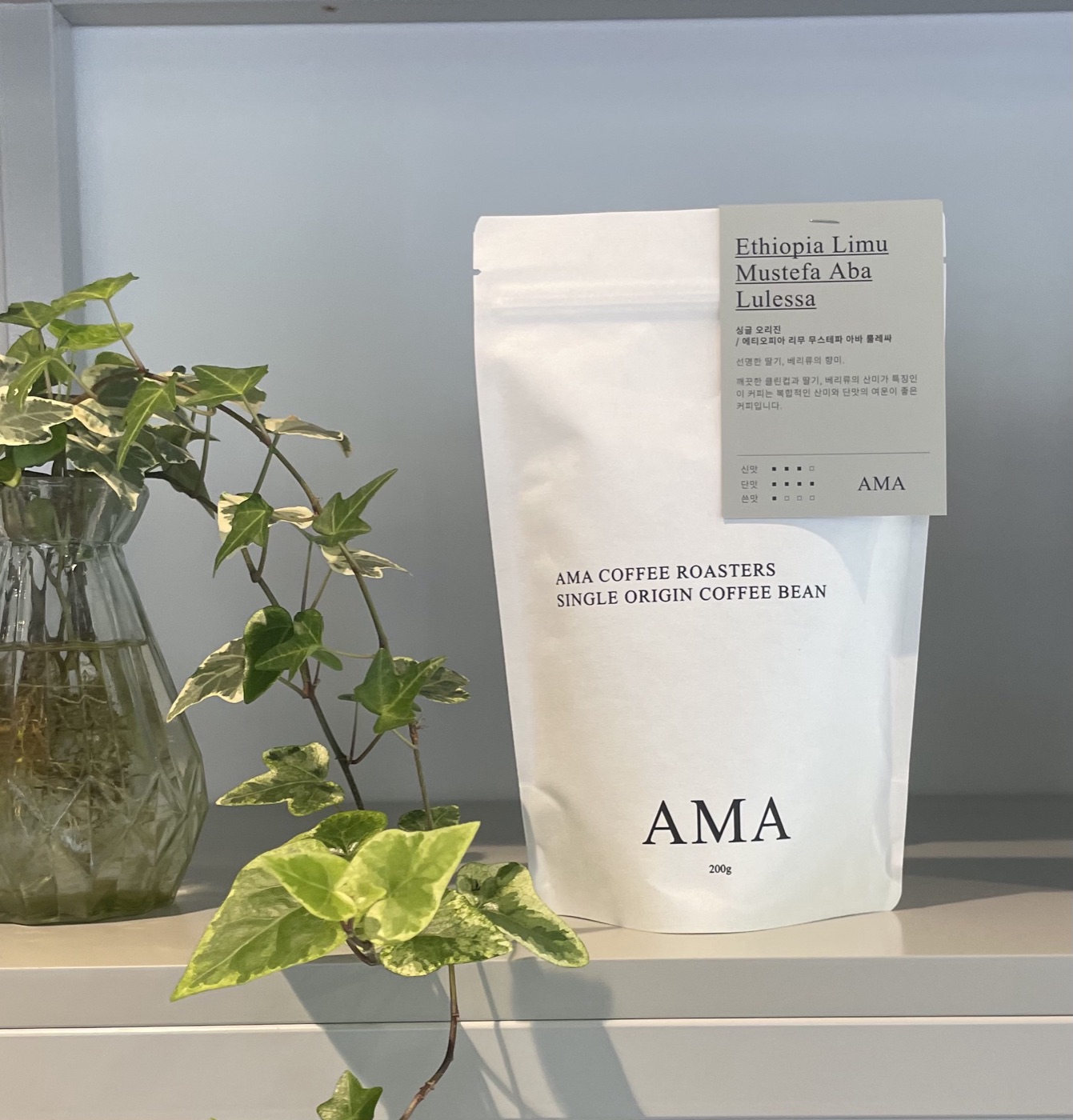 AMA 싱글 오리진 원두 봉투와 화분